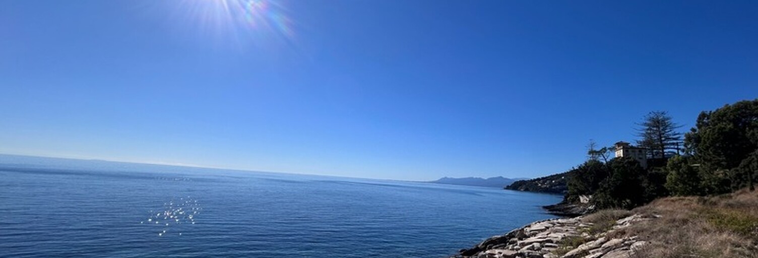 Appartement 6 Pièces 250 m² à vendre à Brando (20222)