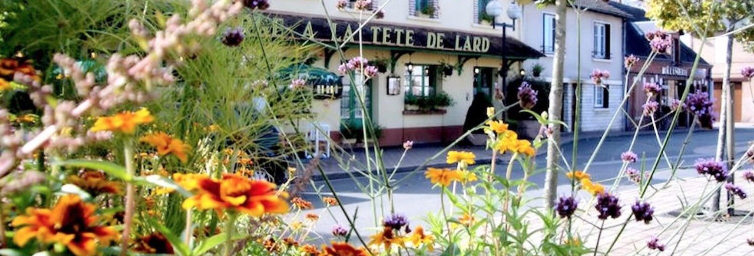 Divers  3700 m² à vendre à La Ferté-Imbault (41300)