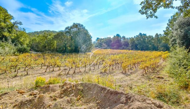 Villa / Maison 4 pièces  à vendre Flayosc 83780