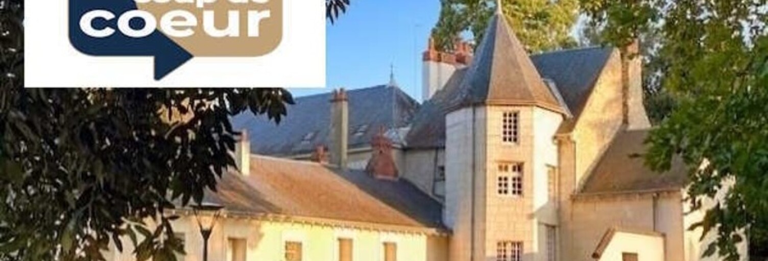 Maison 8 Pièces 260 m² à vendre à Châtellerault (86100)