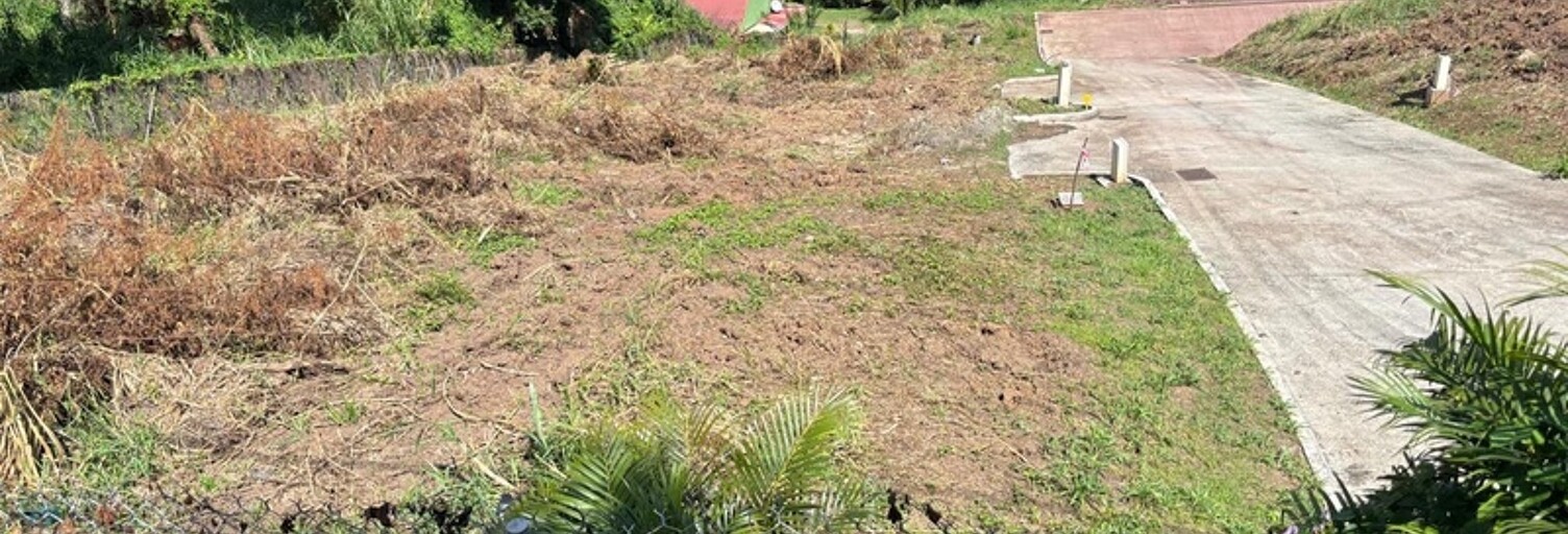 Terrain  603 m² à vendre à Le François (97240)