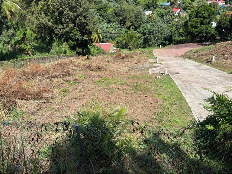 A vendre LE FRANCOIS quartier Chopotte ,Terrain de 603 m² — photo 1