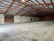 Entrepôt/Bureaux 1000m2 à louer à VILLENEUVE DE RIVIERE (31), Terrain de 7900m2 — photo 2