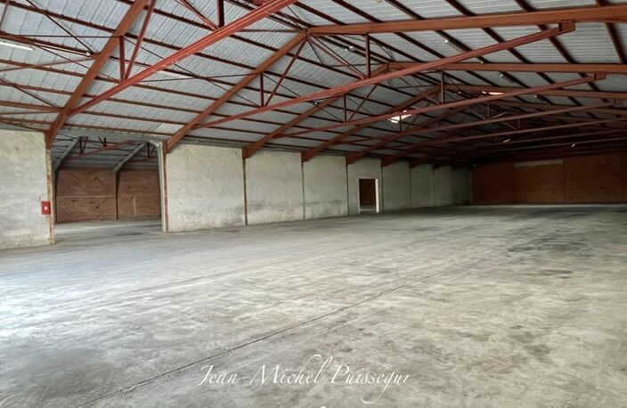 Entrepôt/Bureaux 1000m2 à louer à VILLENEUVE DE RIVIERE (31), Terrain de 7900m2 — photo 2
