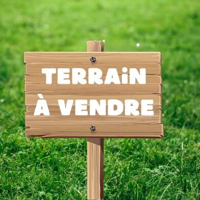 Terrain  41000 €