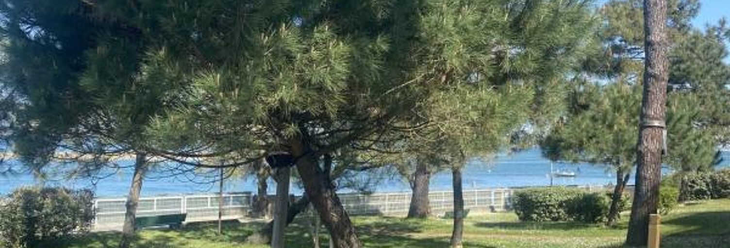 Appartement 1 Pièce 23 m² à vendre à Arcachon (33120)