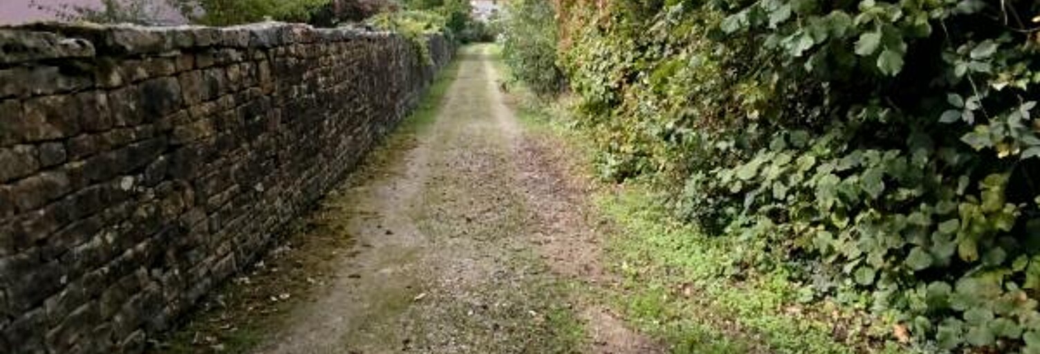 Terrain  1131 m² à vendre à Pusey (70000)