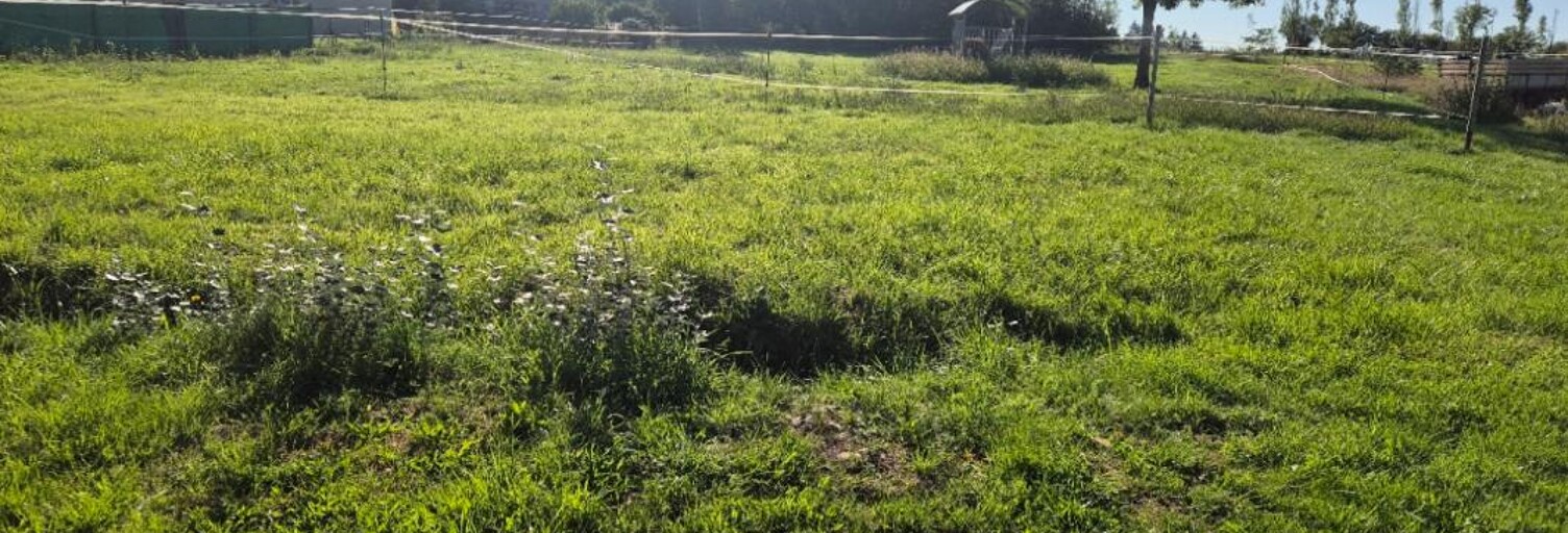 Terrain  2300 m² à vendre à Lalizolle (03450)