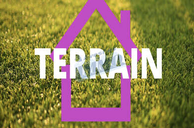 Terrain  60000 €