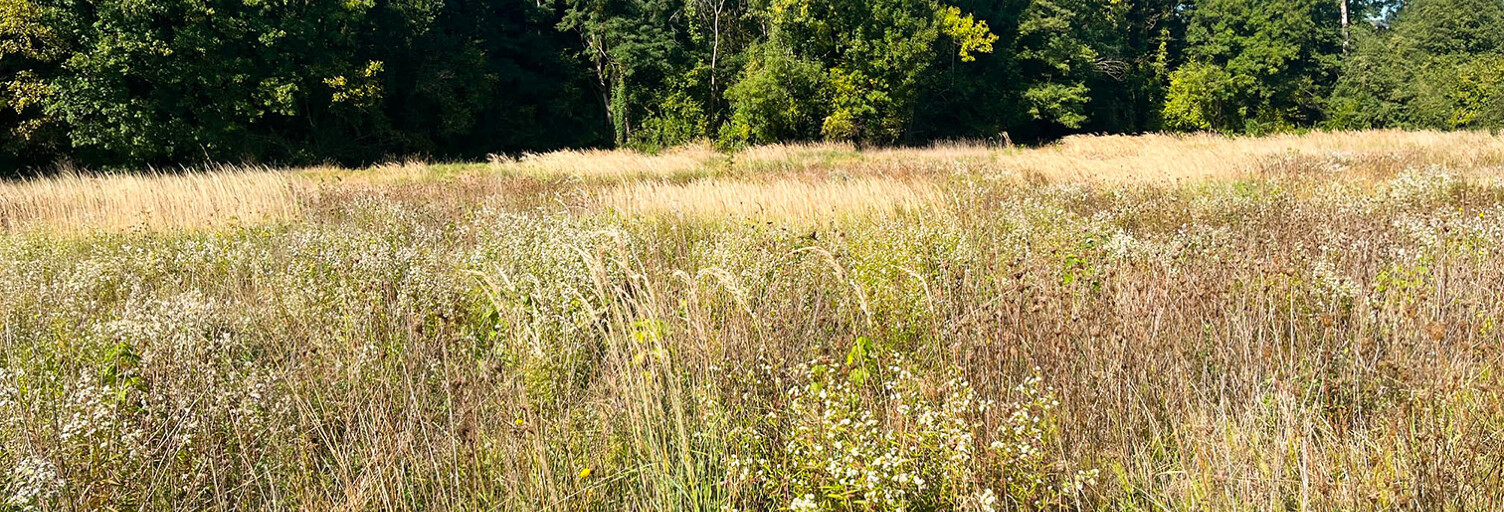 Terrain  940 m² à vendre à Saint-Christophe-à-Berry (02290)