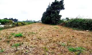 Terrain   m² à vendre à Jonquerettes (84450)