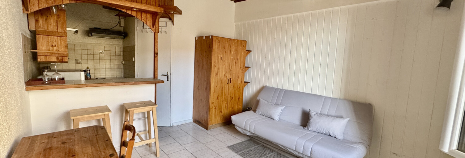 Appartement 1 Pièce 19 m² à louer à Laudun-l'Ardoise (30290)
