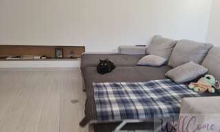 Appartement 2 Pièces 39 m² à vendre à Annemasse (74100)