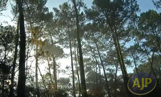 Terrain  970 m² à vendre à Lège (33950)