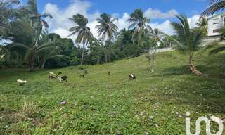 Terrain  2037 m² à vendre à Morne-à-l'Eau (97111)