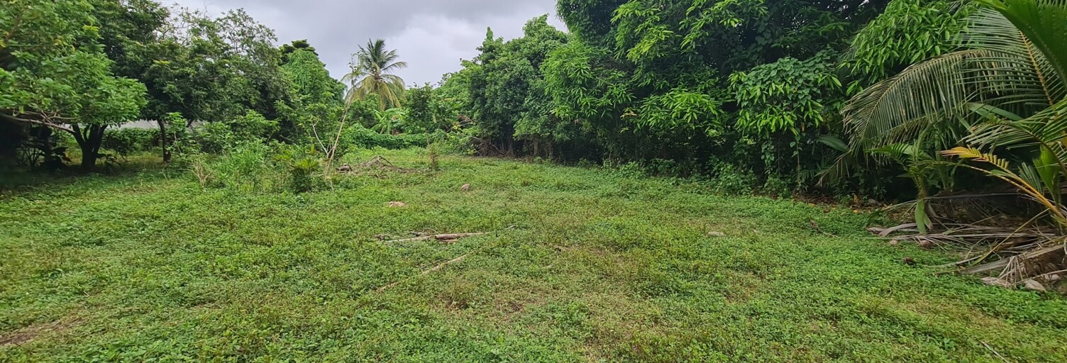 Terrain  1196 m² à vendre à Le Moule (97160)