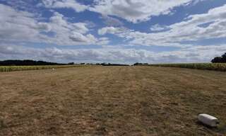 Terrain  29960 m² à vendre à Vicq-sur-Nahon (36600)