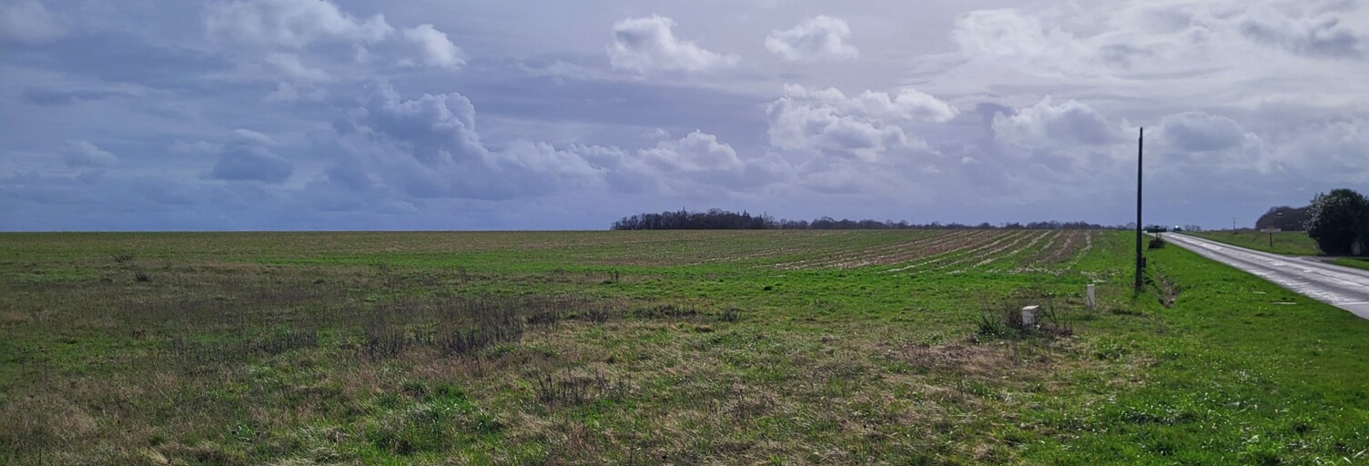 Terrain  1740 m² à vendre à Douchy-Montcorbon (45220)