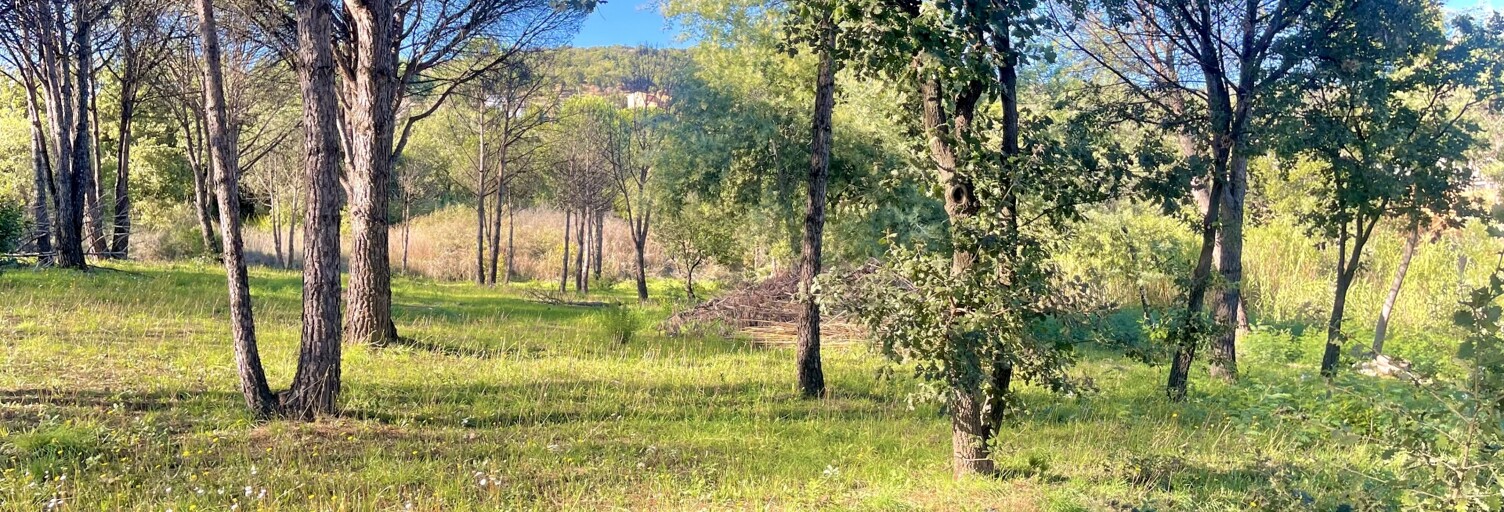 Terrain  1040 m² à vendre à Grimaud (83310)