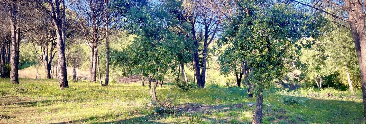 Terrain  1413 m² à vendre à Grimaud (83310)