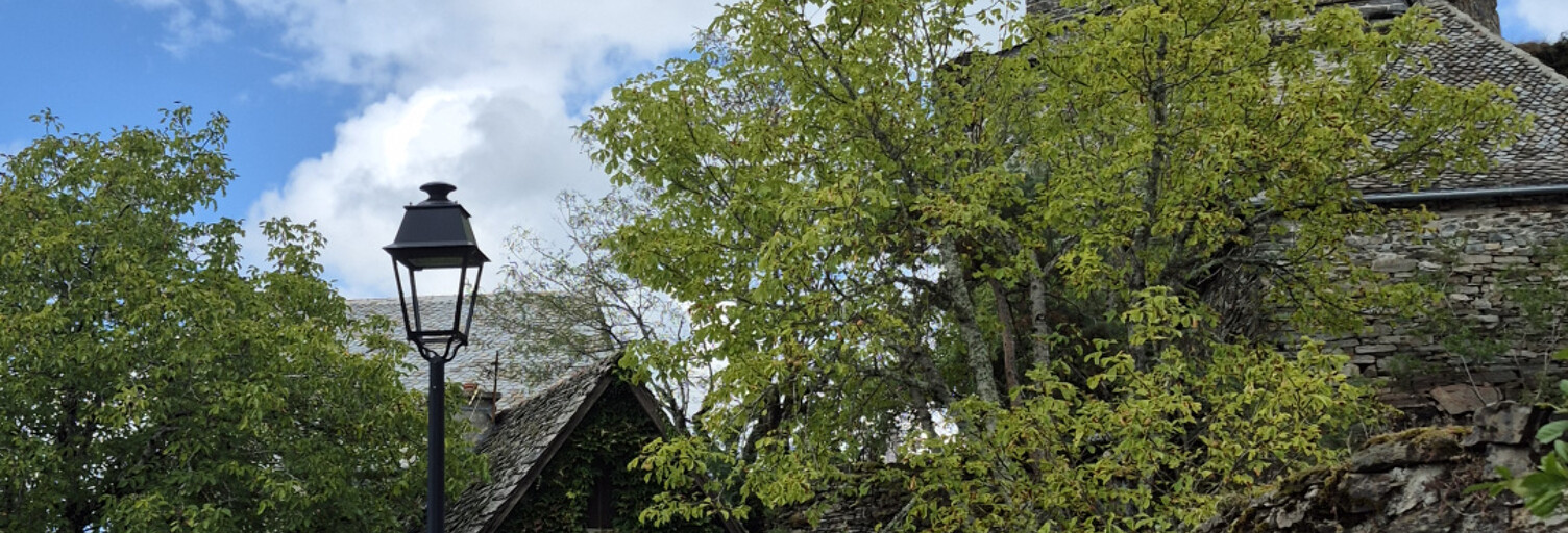 Maison 9 Pièces 230 m² à vendre à Lacroix-Barrez (12600)