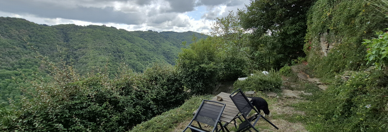 Maison 9 Pièces 230 m² à vendre à Lacroix-Barrez (12600)