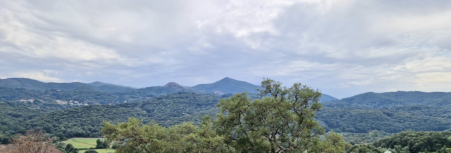 Terrain  2420 m² à vendre à Ocana (20117)