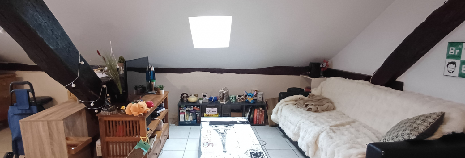 Appartement 3 Pièces 30 m² à vendre à Angers (49100)