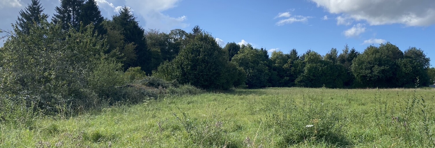 Terrain  2195 m² à vendre à Pleine-Fougères (35610)