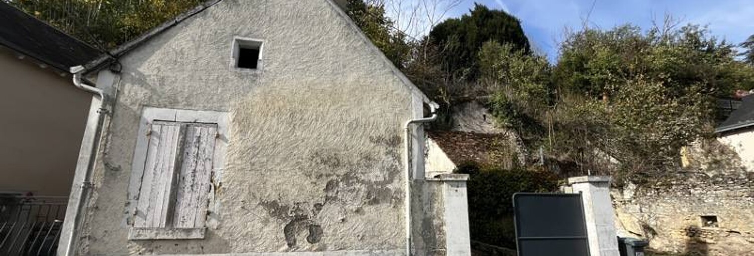 Maison 3 Pièces 60 m² à vendre à Lussault-sur-Loire (37400)