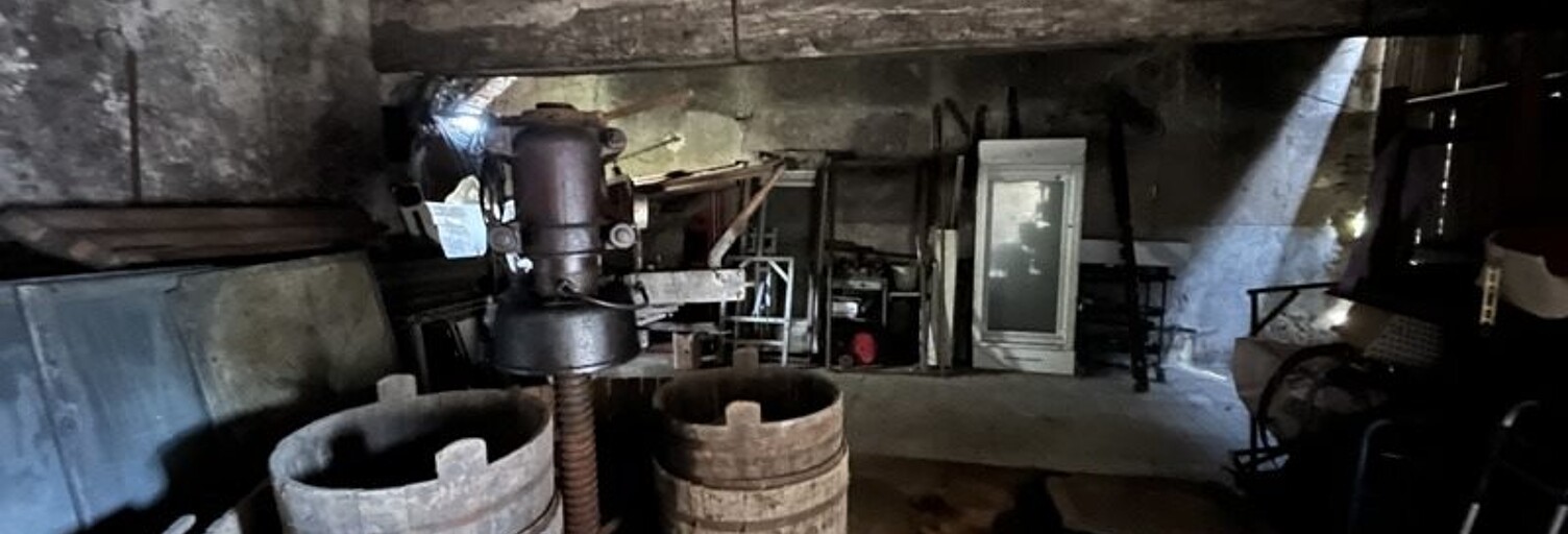 Maison 1 Pièce 100 m² à vendre à Amboise (37400)