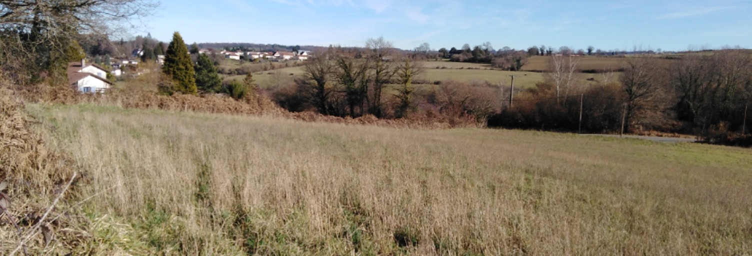 Terrain  2622 m² à vendre à Châteauneuf-la-Forêt (87130)