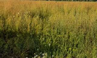 Terrain  840 m² à vendre à Forges (77130)