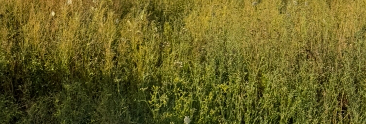 Terrain  840 m² à vendre à Forges (77130)