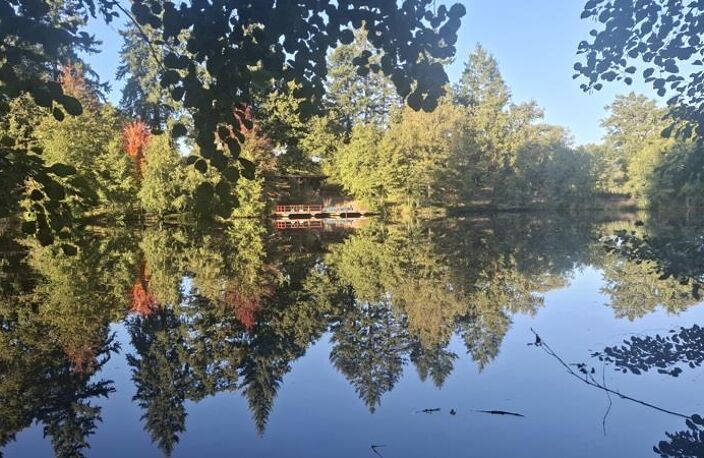Etang de 0 pièces principales — photo 2