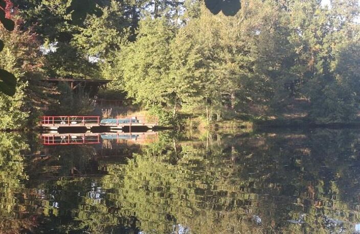 Etang de 0 pièces principales — photo 5