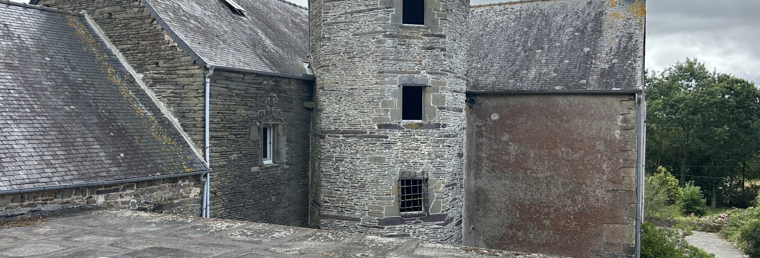 Maison 7 Pièces 260 m² à vendre à Néant-sur-Yvel (56430)