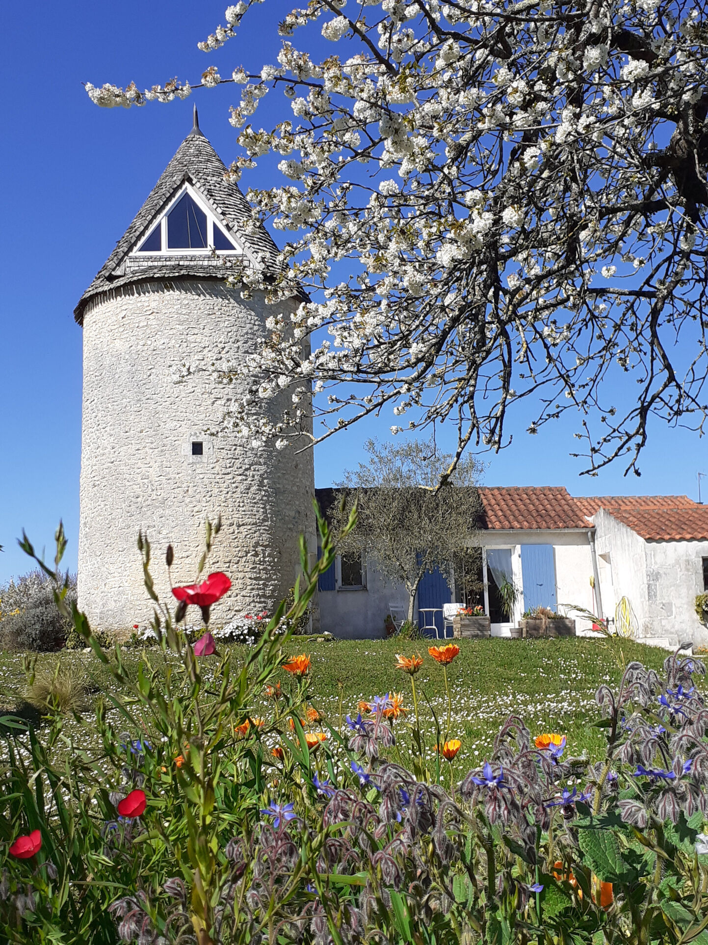 Villa / Maison 5 pièces  à vendre Pont-l'Abbé-d'Arnoult 17250