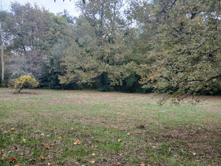 Grande parcelle à Créon – potentiel de division — photo 1