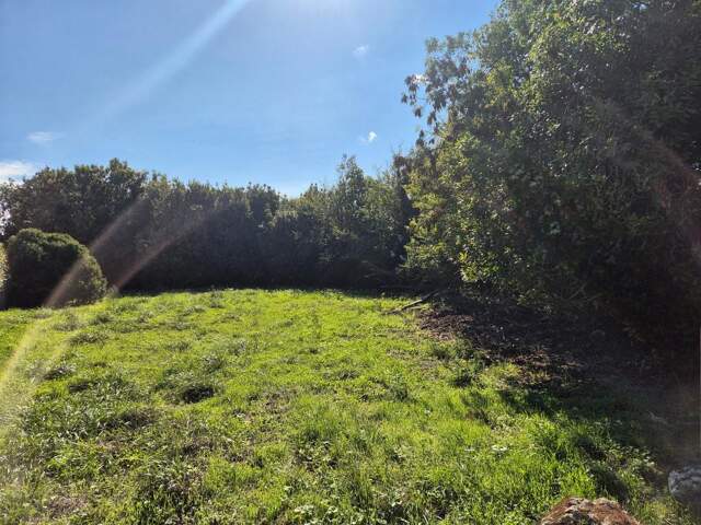 Terrain à vendre - SAINT PIERRE D'OLERON — photo du bien