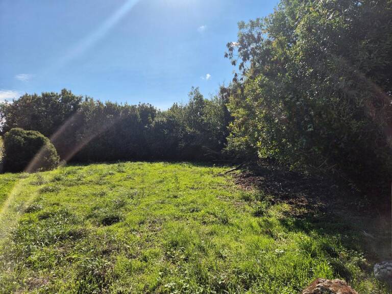 Terrain à vendre - SAINT PIERRE D'OLERON — photo 1