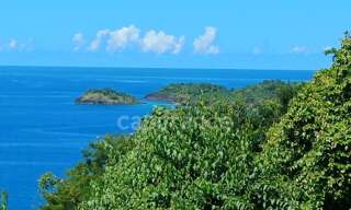 Terrain  4516 m² à vendre à Bouillante (97125)