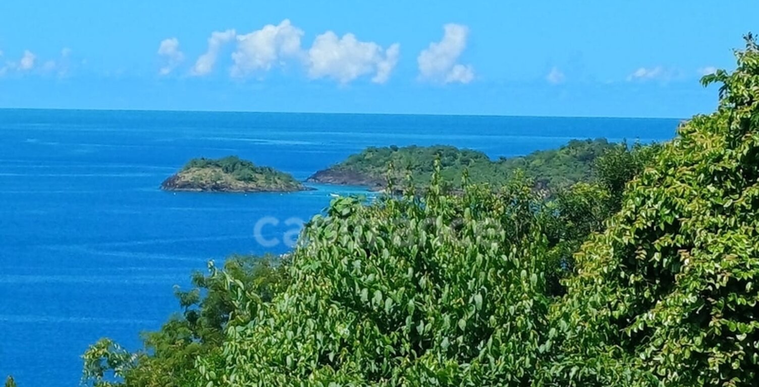 Terrain à vendre de 4 516,00 m² BOUILLANTE (971) — photo 1