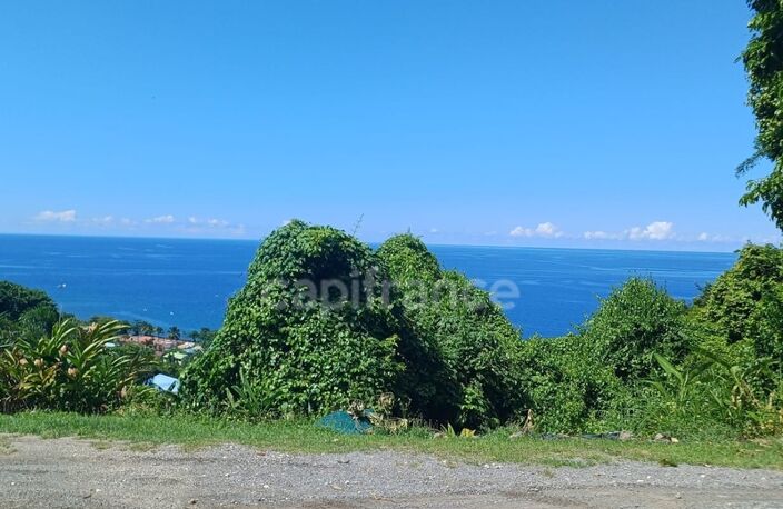 Terrain à vendre de 4 516,00 m² BOUILLANTE (971) — photo 3