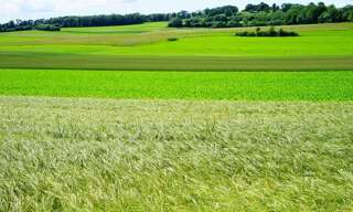 Terrain  838 m² à vendre à Achères (78260)