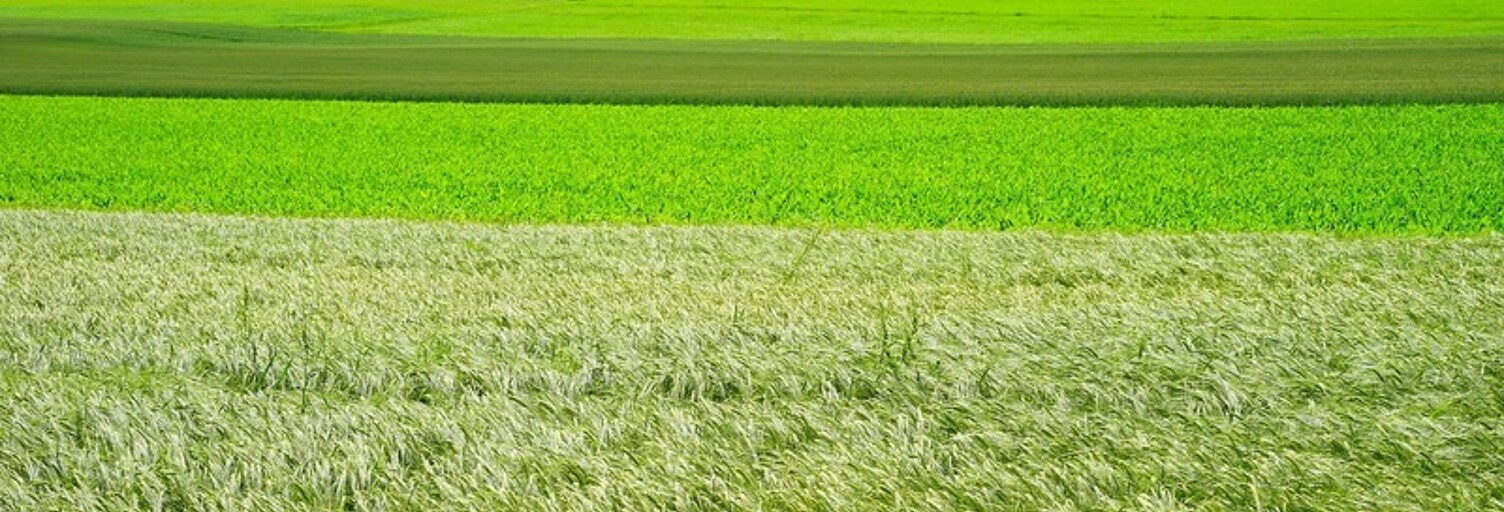 Terrain  838 m² à vendre à Achères (78260)