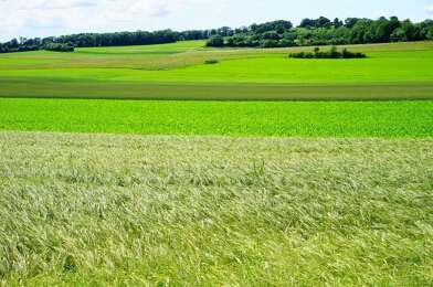 Terrain  420000 €