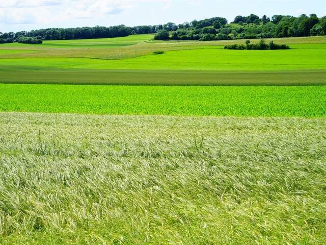 Dpt Yvelines (78), à vendre ACHERES terrain de 833 m2 — photo du bien