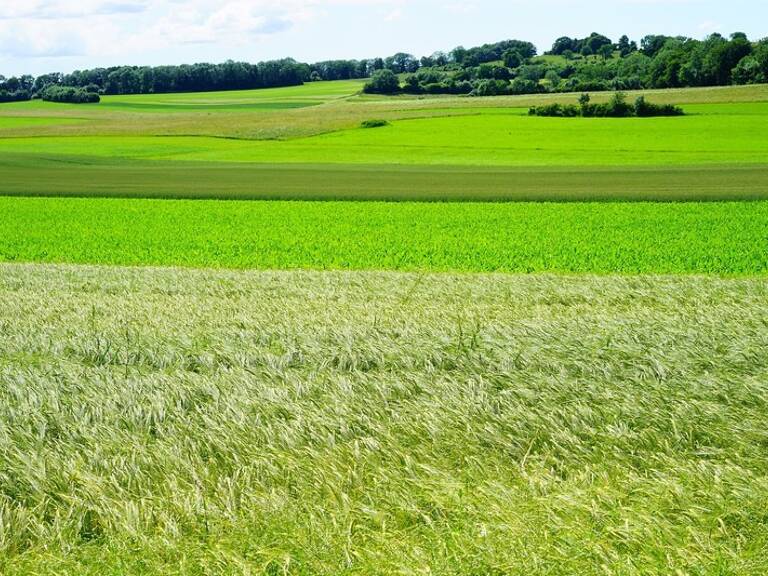 Dpt Yvelines (78), à vendre ACHERES terrain de 833 m2 — photo 1