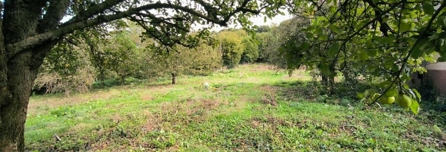 Terrain  1463 m² à vendre à Maisnil-lès-Ruitz (62620)